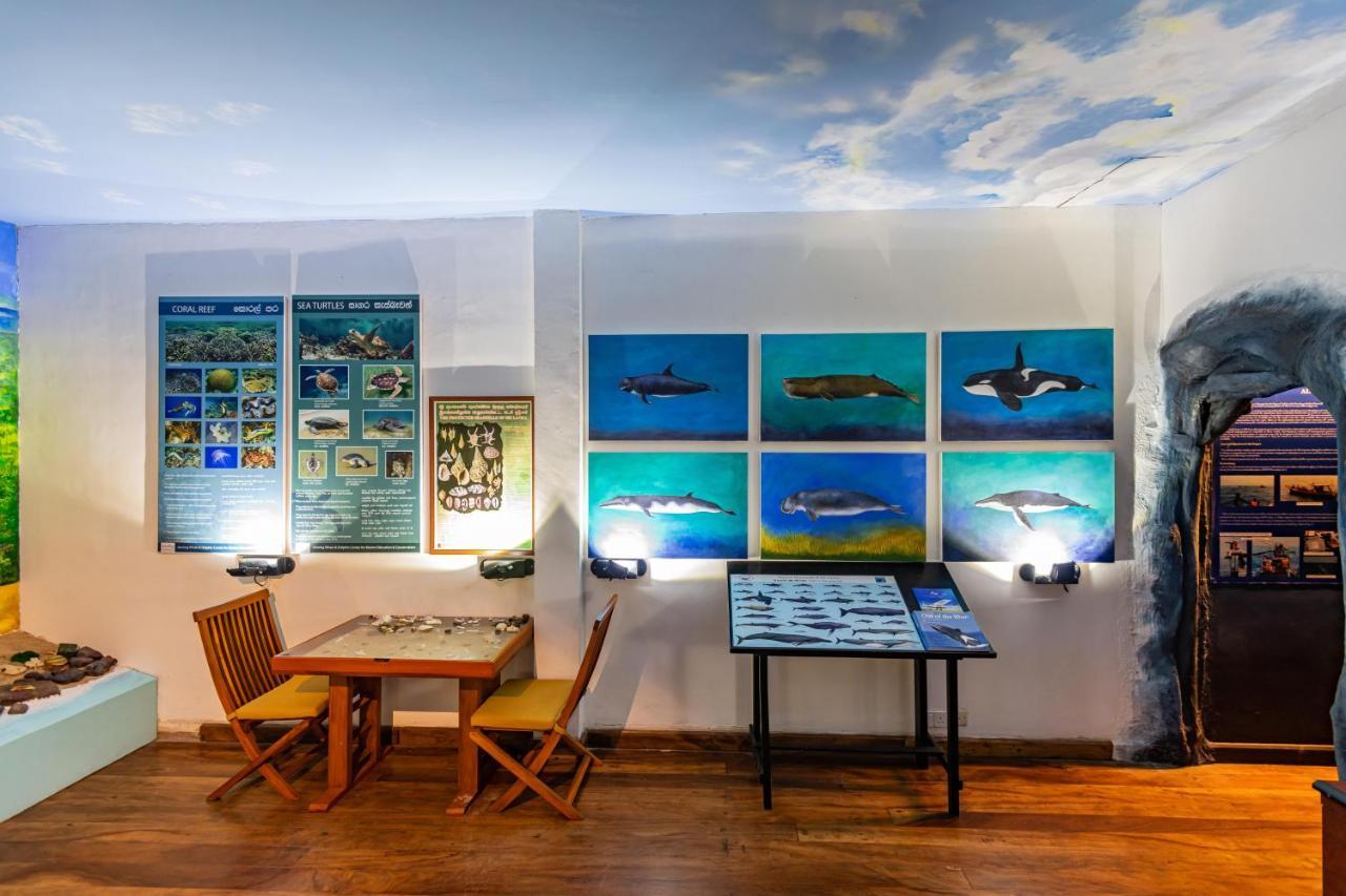 Jetwing Lighthouse, A Luxury Reserve